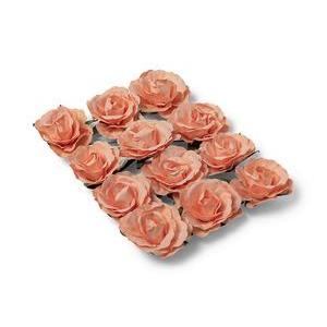 Roses 3.5 cm peche sur tige x 12