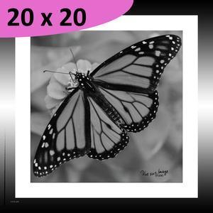 Tableau Papillon - L 20 x P 1.5 x l 20 cm - Noir, blanc - VUE SUR IMAGE