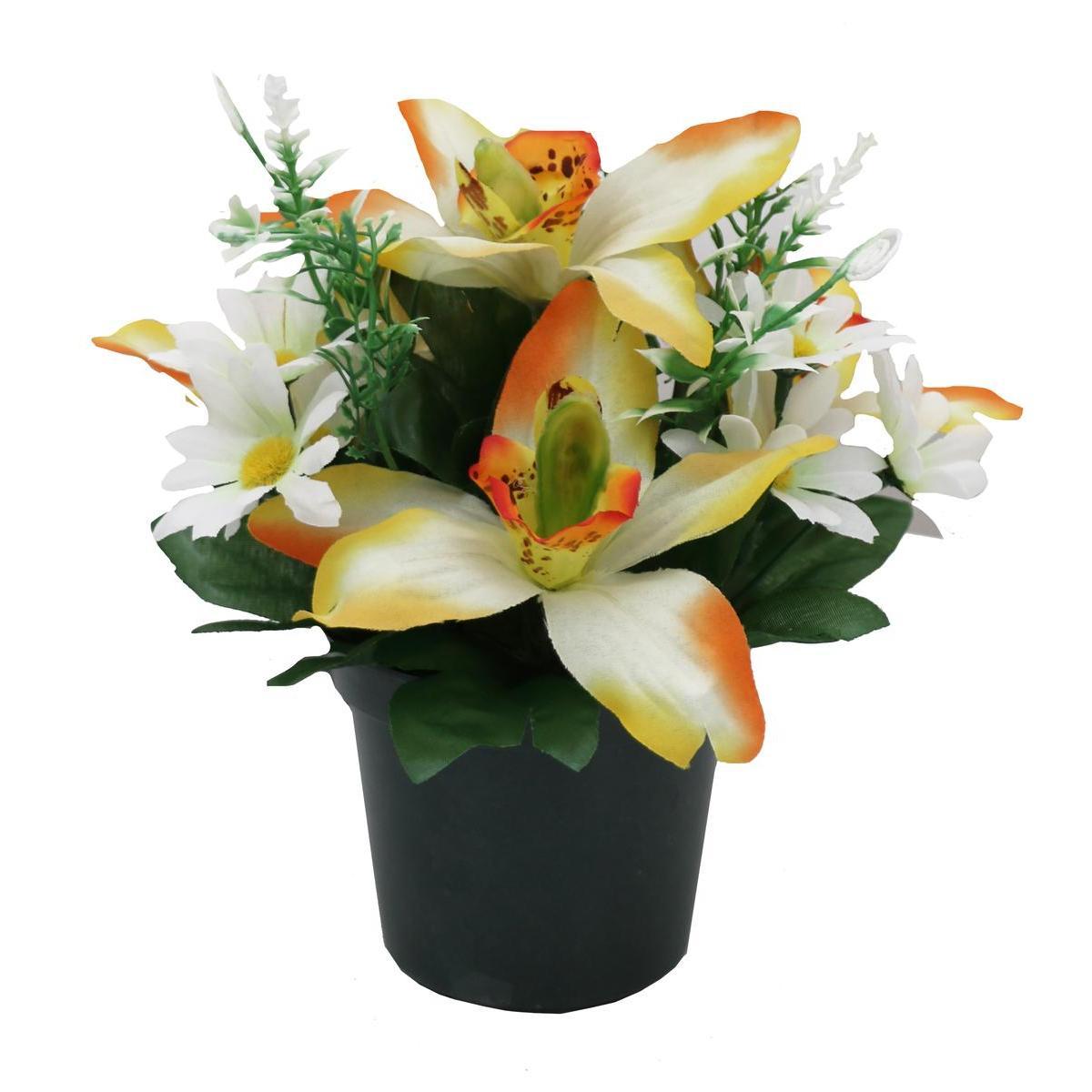 Orchidée en pot - H 20 cm - Orange