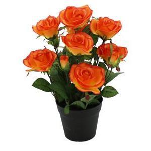 Rosier 8 fleurs + 4 boutons - H 39 cm - Orange, Rose, Rouge