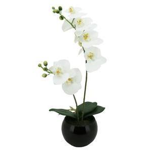 Orchidée 2 branches `toucher naturel` - H 46 cm - Rose, Blanc