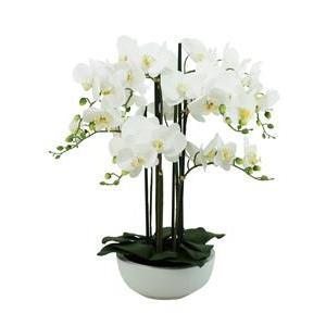 Orchidée 8 branches `toucher naturel` - H 66 cm - Blanc
