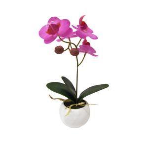 Orchidée en pot céramique - H 21 cm - Rose, Blanc
