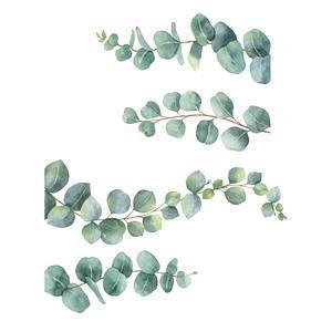 Adhésif déco Eucalyptus - L 70 x l 50 cm - Vert