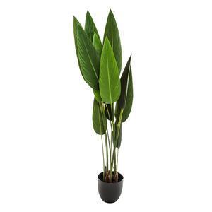 Plante bird H 130 cm