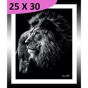 Tableau Lion en majesté - L 30 x l 20 cm - Noir, blanc - VUE SUR IMAGE
