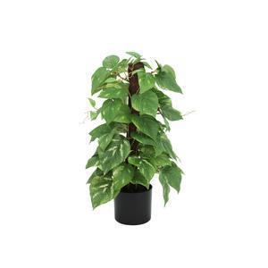 Pothos artificiel 108 feuilles - H 45 cm - Vert