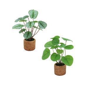 Plante artificielle en pot Pilea et Peperomia - H 27 cm - Différents modèles - Vert