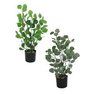 Eucalyptus artificiel - H 60 cm - Différents modèles - Vert