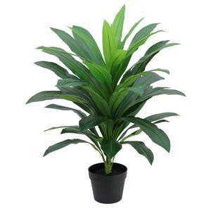 Dracaena artificielle 43 feuilles - H 80 cm - Vert