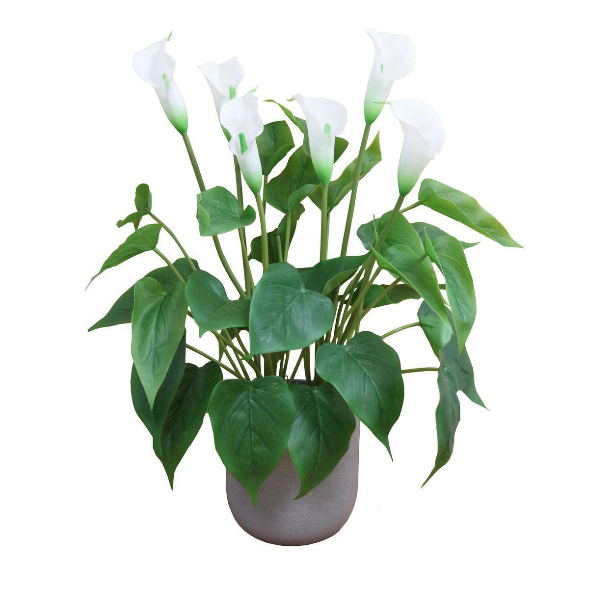 Arums artificiels 6 fleurs - H 47 cm - Blanc, vert