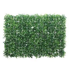 Mur végétal de buis - rectangulaire - 60 x 40 cm