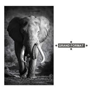 Toile imprimée Éléphant - L 160 x l 100 cm - Noir, blanc, gris