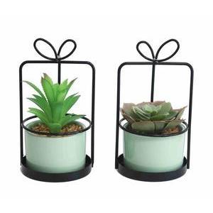 SUCCULENTE POT CERAMIQUE H21CM