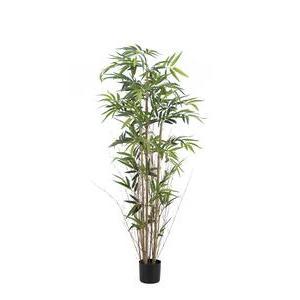 Bambou 3 troncs - H 180 cm