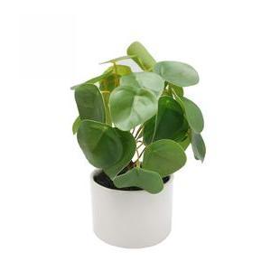 Cache-pot en céramique Pilea - H 22 cm - Vert