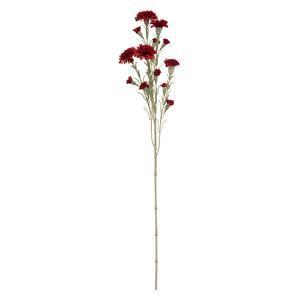 5 fleurs d'œillet sur tige - H. 68 cm - Rouge et blanc - ATMOSPHERA