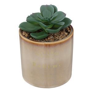 Succulente artificielle en pot - H 14 cm - ATMOSPHERA