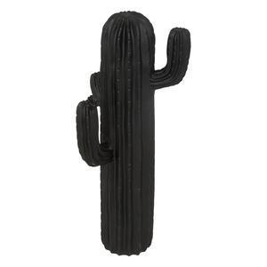 Cactus rsn rodrigo h42