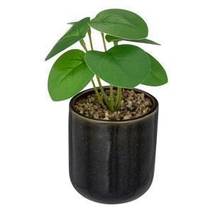 Plante pot crmq reac nuit h19