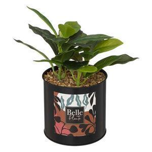 Plante pot met cosy h23