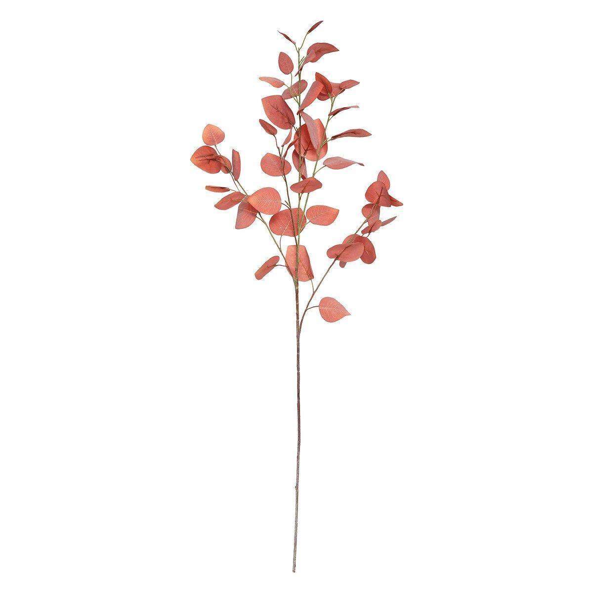 Tige eucalyptus rose h92