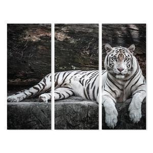 Toiles Triptyques Tigre