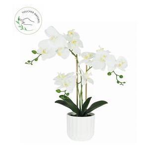 ORCHIDEE X3 POT H52 CM BLANC