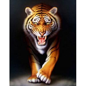 Peinture au numéro Tigre 40 x 50 cm