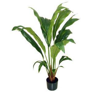 Arbre palmier tronc coco en pot - Bois, plastique et polyester - H 150 cm - Vert