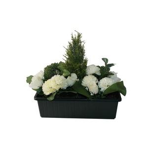 Jardinière de roses + chrysanthèmes + sapin - Hauteur 40 cm - blanc crème