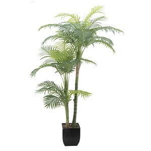 Palmier Areca pot métal carré - H 180 cm