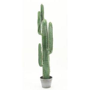 Cactus 6 branches en pot - H 115 cm