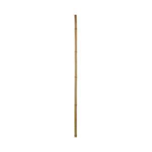 Tige de bambou - H 120 cm - MOOREA
