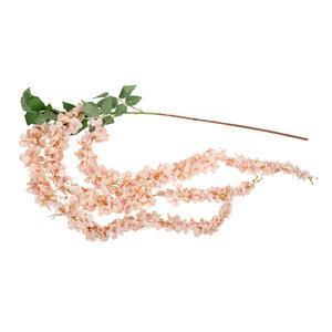 Descente de fleurs d'acacia - Rose
