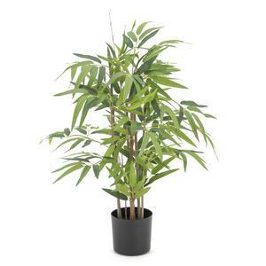 Bambou 200 feuilles - H 60 cm - Vert