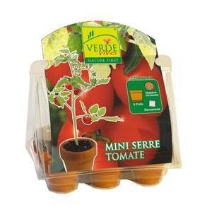 Mini serre à tomates - Pots et graines - 16,5 x 19 x 11 cm - Multicolore