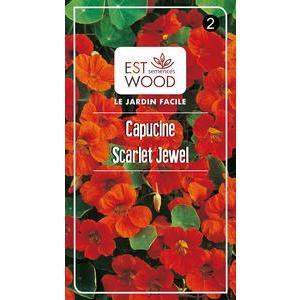 Semences de capucins Scarlet Jewel - 1 sachet