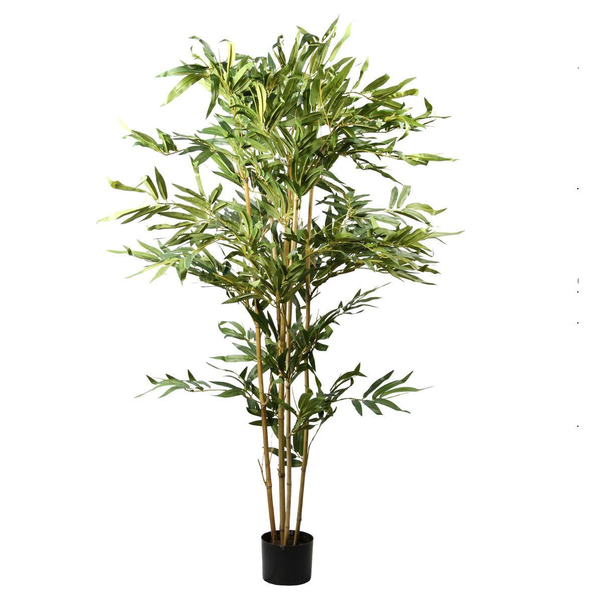 Bambou 5 troncs naturels - H 150 cm