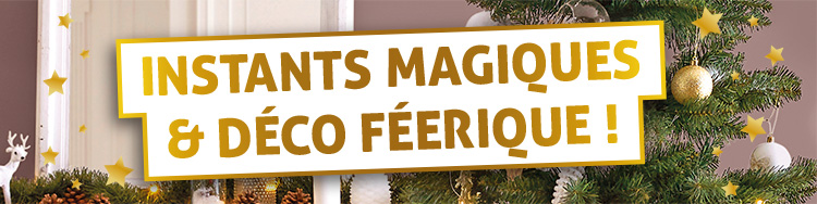 Instants magiques & déco féérique !