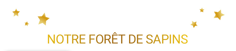 Instants magiques & déco féérique !