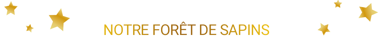 Instants magiques & déco féérique !