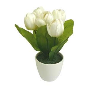 Pot de 5 tulipes - Blanc