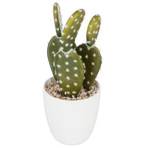 Succulent avec cactus