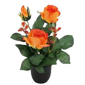 Rosier 2 fleurs + 1 bouton - H 36 cm - Orange, Rouge, Jaune