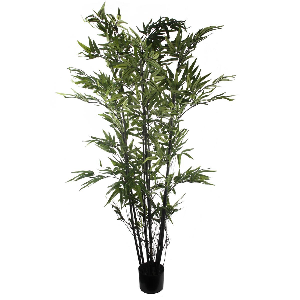 Bambou 7 troncs noirs - H 180 cm