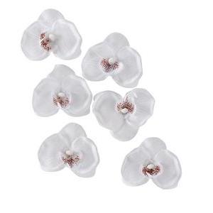Sachet de 6 orchidées - Plastique - 6 x H 5 cm - Blanc