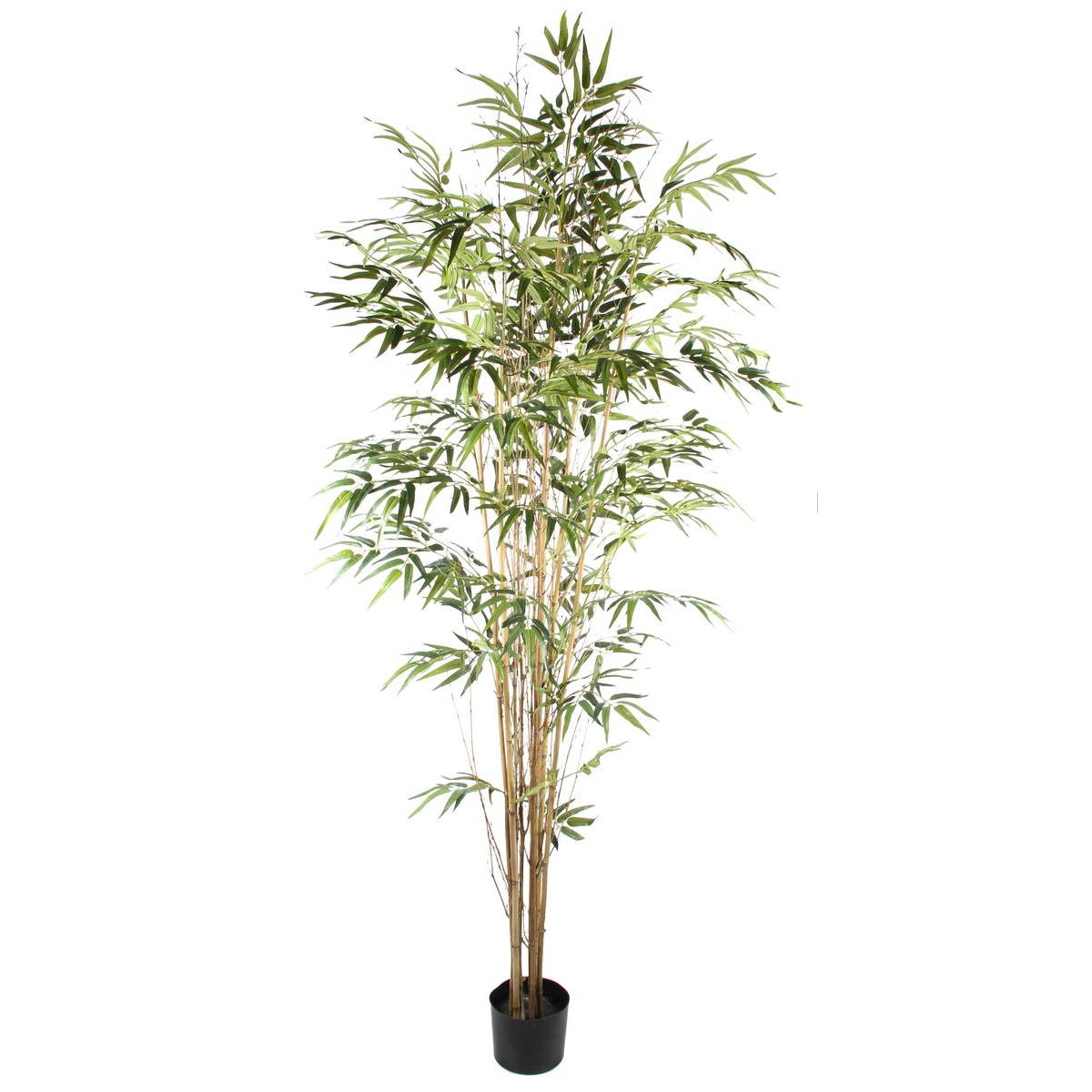 Bambou 9 troncs - H 210 cm