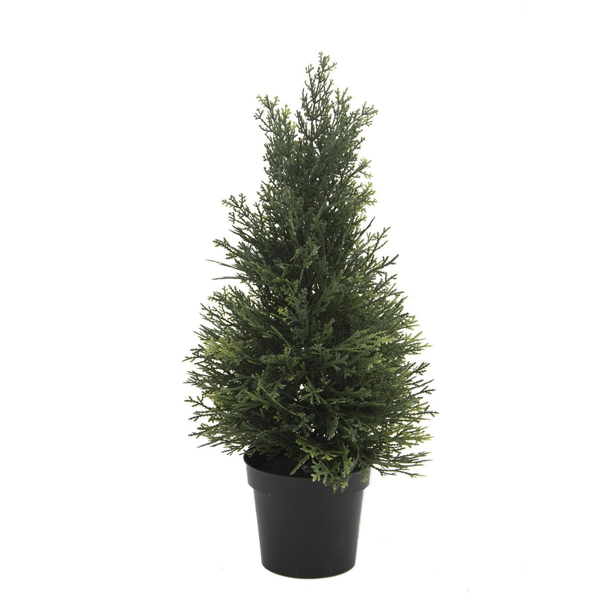 Cyprès en pot noir - H 46 cm - Vert