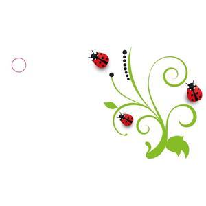 10 étiquettes coccinelles